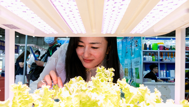 疫情让城里人的“种菜基因”动了，阳台种菜机销量大增