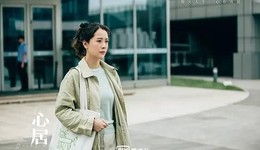 海清，你是娛樂營(yíng)銷號(hào)的神