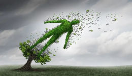 新華保險2021年新業(yè)務(wù)價值承壓，退保金激增，壽險行業(yè)拐點(diǎn)何時到？