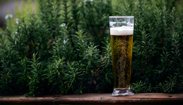 精酿也推高端产品，国内啤酒行业奔赴多样化