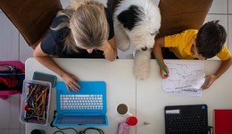 大脑，在信息洪流里过载，在知识共同体中生长