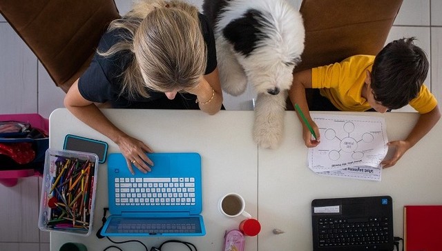 大脑，在信息洪流里过载，在知识共同体中生长