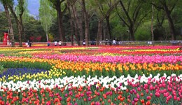 直通部委 | 國家植物園在北京正式揭牌 一季度全國新增就業(yè)285萬人