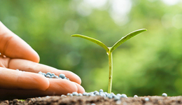 化肥農(nóng)藥板塊沖高，江山股份、芭田股份等多股漲停，能持續(xù)嗎？