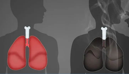 為什么有人吸一輩子煙也不得肺癌？新研究揭曉真相