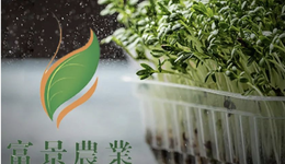 明星都愛的陽臺(tái)種菜引風(fēng)潮，富景中國沖擊“盆栽蔬菜第一股”