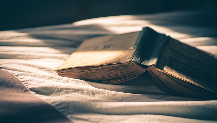 小说家,中国文学,文学批评,华语文学,文学史