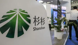 曾毓群王传福，联手投了杉杉锂电：估值超100亿