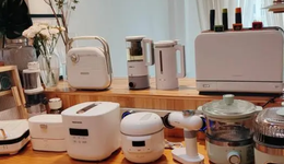 臥虎藏龍的小家電市場，由真香和智商稅組成