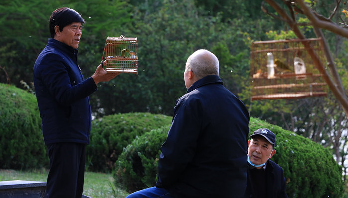 财经速递,养老金