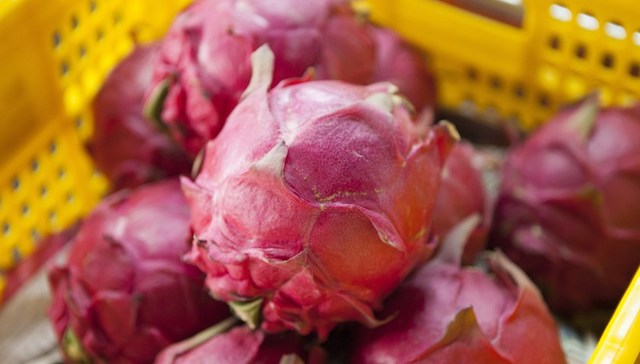 地方新闻精选 | 北京丰台一批进口火龙果外包装弱阳性 青岛山火基本得到控制