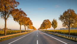 行业剧变，华新水泥“内外有别”