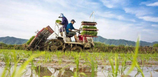 农民,光明网,春耕,疫情防控,种地,评论员,大棚,春播,吐槽,农资