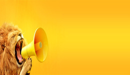 炭黑景气度变了？黑猫股份一季报盈转亏，这些基金在抱团持股