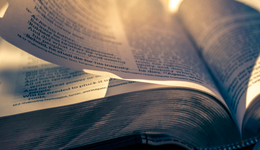 掌阅年利润减半，推广费涨2亿，网文平台增长遇到瓶颈了吗？