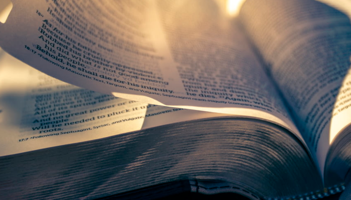 网文,掌阅科技,营销费用