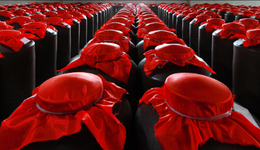 一季度业绩创单季度新高，舍得酒业的成长故事将继续？