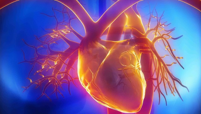 医药,医疗,投资,创业,集采