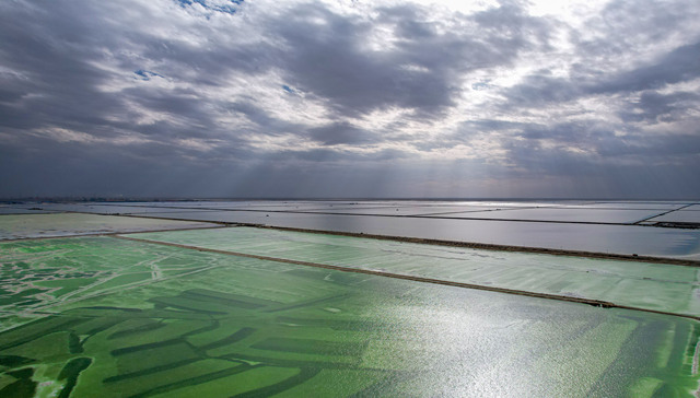 盐湖股份去年净利创十年新高