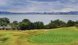 张旭豪四年憋个“坑”