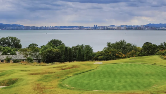 高尔夫,张旭豪,创业,体育培训