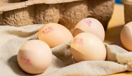 飞起来的黄天鹅，是包着“溏”衣的智商税？