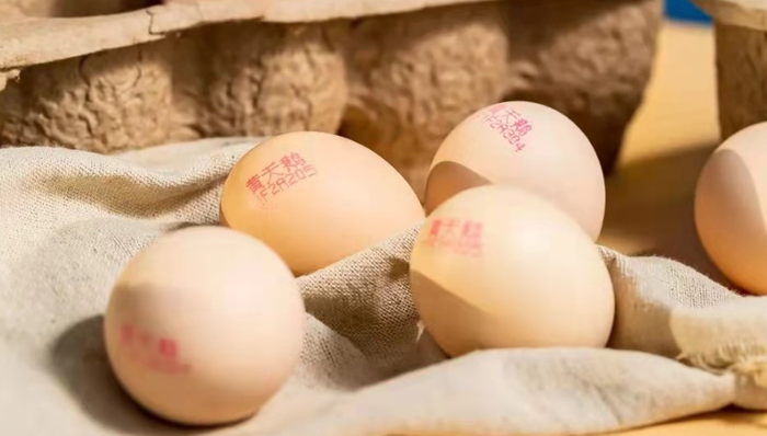 黄天鹅,融资,估值,新消费品牌