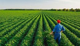 我們統(tǒng)計(jì)了100家企業(yè)的招聘信息，發(fā)現(xiàn)了高水平農(nóng)業(yè)人才的6個(gè)真相