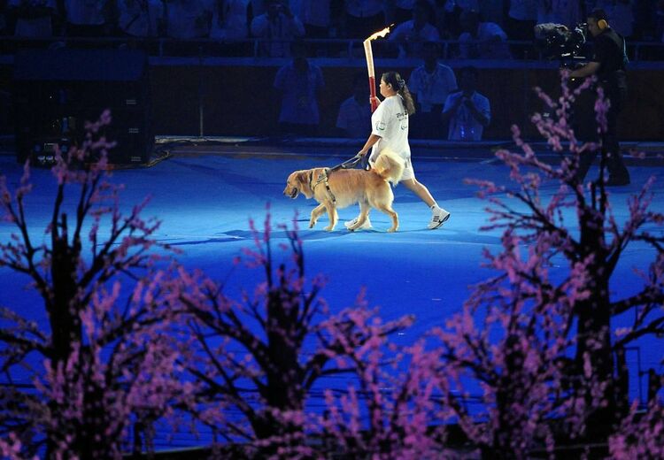 追光|这支“汪汪队”,每位成员都了不起!