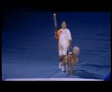 追光|这支“汪汪队”,每位成员都了不起!