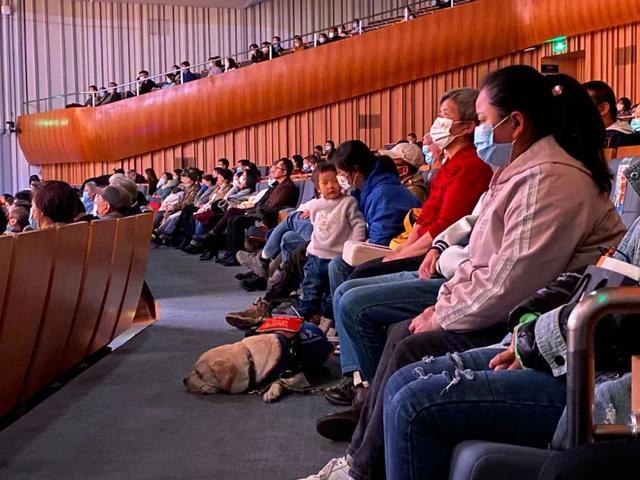 追光|这支“汪汪队”,每位成员都了不起!