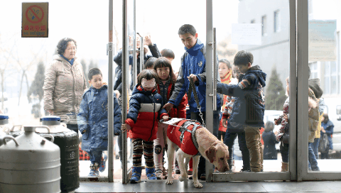 追光|这支“汪汪队”,每位成员都了不起!