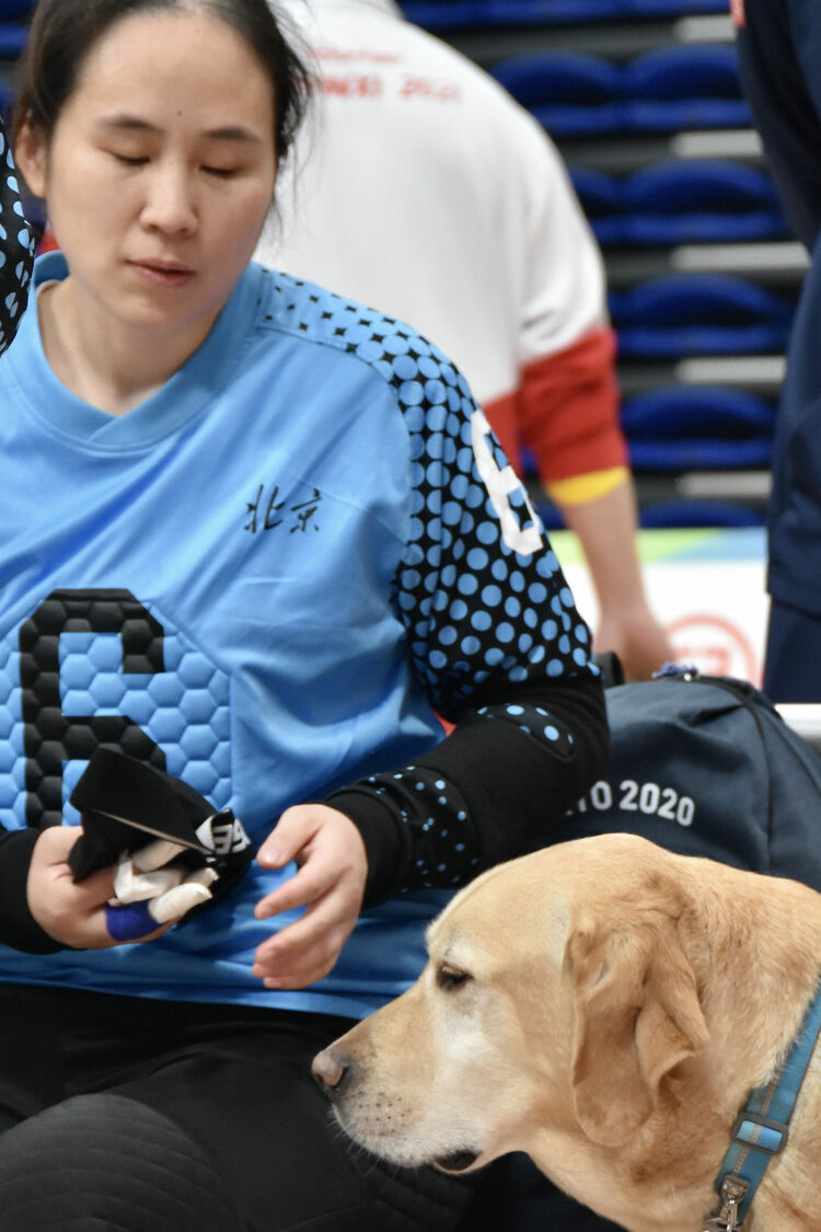 追光|这支“汪汪队”,每位成员都了不起!