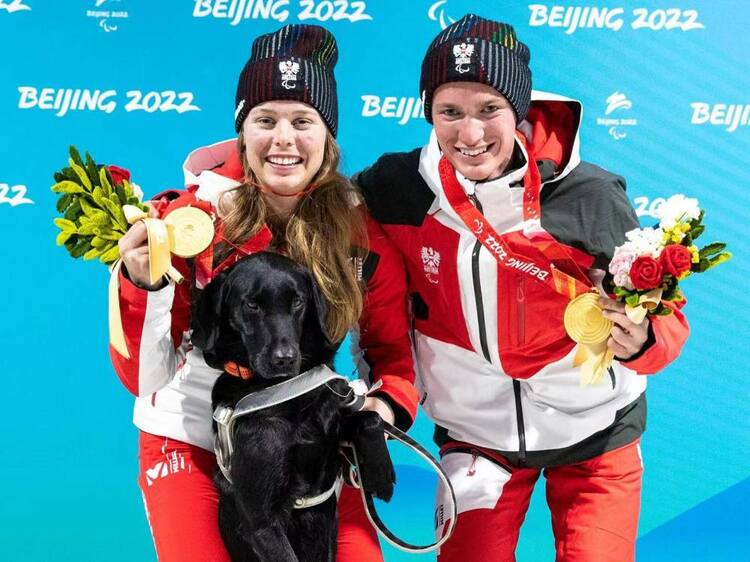 追光|这支“汪汪队”,每位成员都了不起!