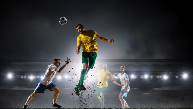 教育,健身,足球,体育,投资