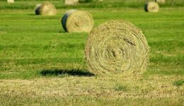 一文看懂9家國(guó)家農(nóng)高區(qū)建設(shè)要點(diǎn)