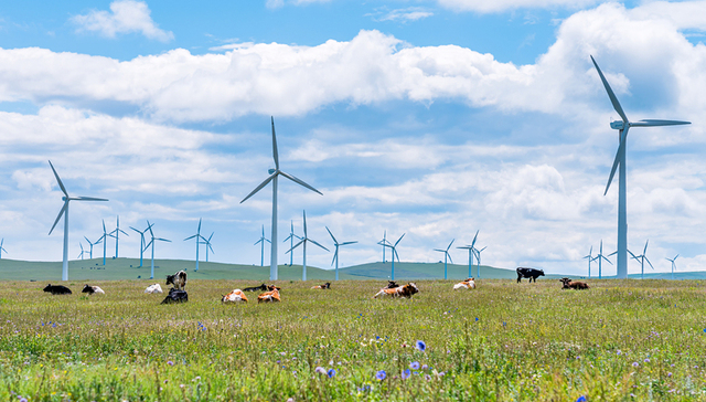 一季度业绩分化，挣钱最多、增速最快的是这家风电整机商