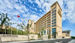 绿地控股去年净利润62亿，有息负债减少812亿