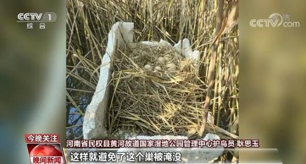 劳动最光荣 奋斗最幸福 | 耿思玉：行走的鸟类“百科全书”