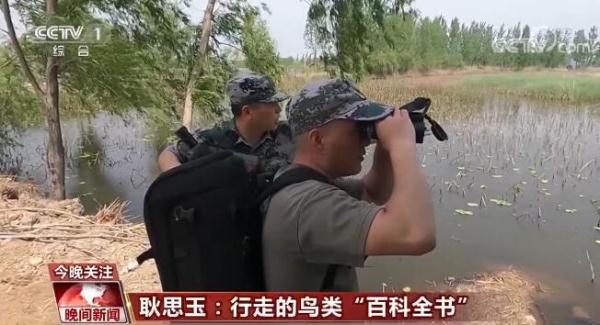 劳动最光荣 奋斗最幸福 | 耿思玉：行走的鸟类“百科全书”