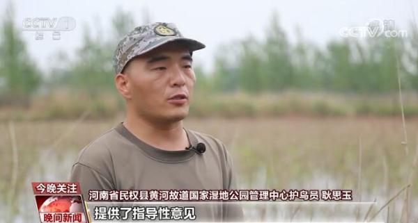 劳动最光荣 奋斗最幸福 | 耿思玉：行走的鸟类“百科全书”