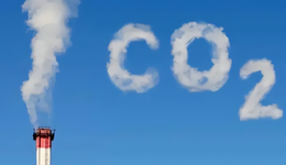 一年后的“碳中和”：互聯(lián)網(wǎng)大廠都做了啥？