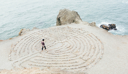 中公教育们的“萧何之困”