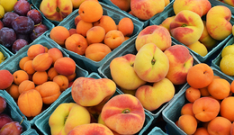 南百果、西洪九，掀起“水果零售第一股”争夺战