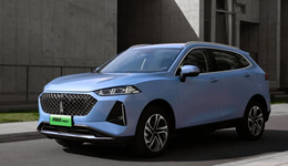 魏建军，出师不利第一年