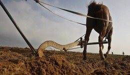 為何歷史的車輪在某些地方轉(zhuǎn)得更快？