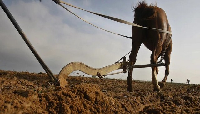 为何历史的车轮在某些地方转得更快？
