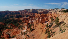 荒野之聲，是復(fù)雜的野性｜書單
