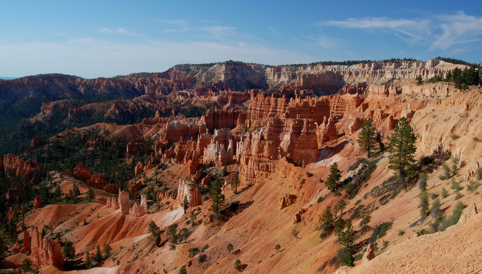 书单,外国文学,自然