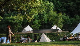 大众露营一位难求